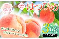 福島県産 はつひめ 3kg 2025年7月上旬～2025年7月中旬発送 2025年出荷分 先行予約 予約 伊達の桃 桃 もも モモ 果物 くだもの フルーツ 国産 食品 F20C-902