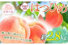 【2026年出荷分先行予約】福島県産 はつひめ 約2.8kg (10～15玉) あかい果樹園 伊達の桃 桃 フルーツ 果物 もも モモ momo F20C-902