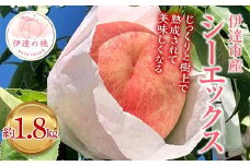 【2026年出荷分先行予約】福島県産 シーエックス 約1.8㎏ (4～6玉) あかい果樹園 大玉 固め 伊達の桃 桃 フルーツ 果物 もも モモ momo F20C-907