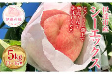 福島県産 シーエックス 5kg 2025年9月中旬～2025年10月上旬発送 2025年出荷分 先行予約 予約 大玉 固め 伊達の桃 桃 もも モモ 果物 くだもの フルーツ 国産 食品 F20C-908
