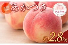 【2026年出荷分先行予約】福島の桃 あかつき 約2.8kg (6～11玉) あかい果樹園 伊達の桃 桃 フルーツ 果物 もも モモ momo F20C-904