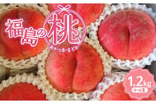【五十沢ブランド】福島の桃 （あかつきorまどか）1.2kg（4～6玉）2025年出荷分 先行予約 F20C-934