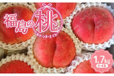 【五十沢ブランド】福島の桃（あかつきorまどか）1.7kg（5～8玉）2025年出荷分 先行予約 F20C-935