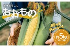 極上の甘さ！ とうもろこし 「おおもの」 10～13本（約5kg） F20C-933