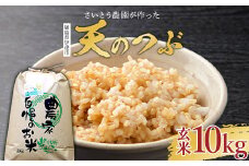 2025年産米 さいとう農園が作った天のつぶ 玄米10kg 【先行予約】2025年10月中旬から順次発送 ご飯 ごはん ライス 伊達市 F20C-916
