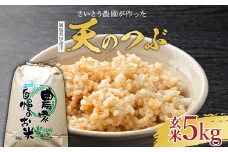 2025年産米 さいとう農園が作った天のつぶ 玄米5kg 【先行予約】2025年10月中旬から順次発送 ご飯 ごはん ライス 伊達市 F20C-917