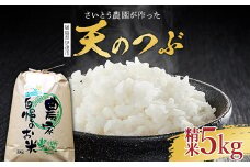 2025年産米 さいとう農園が作った天のつぶ 精米5kg 白米 【先行予約】2025年10月中旬から順次発送 ご飯 ごはん ライス 伊達市 F21C-167