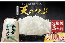 〈定期便〉さいとう農園が作った天のつぶ 精米10kg×3か月 白米 【先行予約】2024年10月中旬から順次発送 ご飯 ごはん ライス 伊達市 F20C-919