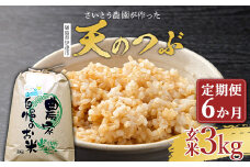 〈定期便〉さいとう農園が作った天のつぶ 玄米3kg×6か月 【先行予約】2024年10月中旬から順次発送 ご飯 ごはん ライス 伊達市 F20C-930