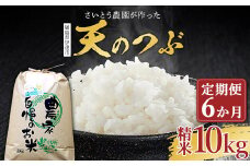 〈定期便〉さいとう農園が作った天のつぶ 精米10kg×6か月 白米 【先行予約】2024年10月中旬から順次発送 ご飯 ごはん ライス 伊達市 F20C-925