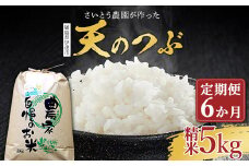 〈定期便〉さいとう農園が作った天のつぶ 精米5kg×6か月 【先行予約】2024年10月中旬から順次発送 白米 ご飯 ごはん ライス 伊達市 F20C-926