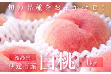 旬の桃 伊達市産 どれが届くかお楽しみ白桃 1kg（3～5玉）2025年出荷分 先行予約 2025年7月5日～2025年9月15日出荷 伊達の桃 桃 もも モモ 名産品 果物 くだもの フルーツ 国産 産地直送 F20C-946