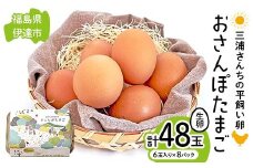 三浦さんちの平飼い卵 おさんぽたまご 計48玉 伊達市 福島県 国産 養鶏場直送 卵 たまご 玉子 生卵 鶏卵 F20C-949