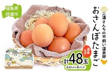 三浦さんちの平飼い温泉玉子 おさんぽたまご 計48玉 伊達市 福島県 国産 養鶏場直送 卵 たまご 玉子 鶏卵 温泉たまご F20C-951