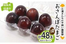 三浦さんちの平飼い燻製玉子 おさんぽたまご 計48玉 伊達市 福島県 国産 養鶏場直送 卵 たまご 玉子 生卵 鶏卵 燻製たまご F20C-952