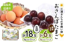 三浦さんちの平飼い卵 おさんぽたまご(生卵と燻製玉子セット) 生卵18玉入り、燻製玉子6玉入り(計24玉) 伊達市 福島県 国産 養鶏場直送 卵 たまご 玉子 生卵 鶏卵 燻製たまご F20C-956