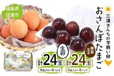 三浦さんちの平飼い卵 おさんぽたまご(生卵と燻製玉子セット) 生卵24玉入り、燻製玉子24玉入り(計48玉) 伊達市 福島県 国産 養鶏場直送 卵 たまご 玉子 生卵 鶏卵 燻製たまご F20C-955