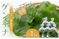 ツルムラサキの仲間のネバネバ野菜！ミネラル豊富なゲンキナ（R）（オカワカメ） 1kg F20C-948