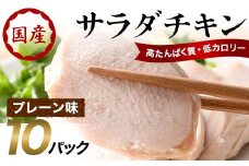 サラダチキン（プレーン味）10パック F20C-881