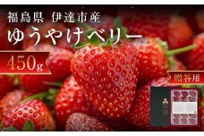 ＜2026年発送＞【贈答用】極上いちご！福島オリジナル品種 ゆうやけベリー 450g F20C-958