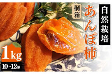 【贈答用】自然栽培あんぽ柿 桐箱 1kg（10～12 個入り） F20C-967