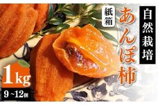 【贈答用】自然栽培あんぽ柿 紙箱 1kg（9~12個入り） F20C-969