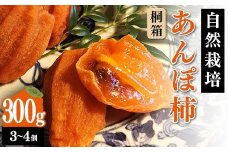 【贈答用】自然栽培あんぽ柿 桐箱 300g（3～4 個入り） F20C-968