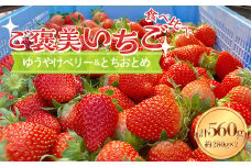 【ご褒美いちご】「ゆうやけベリー」「とちおとめ」の食べ比べセット 約280g×2パック F20C-987