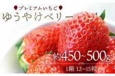 プレミアムいちご ゆうやけベリー 約450～500g（12～15粒） F20C-981