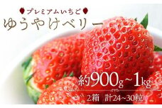 プレミアムいちご ゆうやけベリー 約900g～1kg（24～30粒） F20C-982
