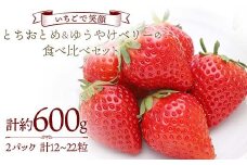 【いちごで笑顔】とちおとめ＆ゆうやけベリーの食べ比べセット 約300g×2パック プレミアムいちご 苺 食べ比べ F20C-984