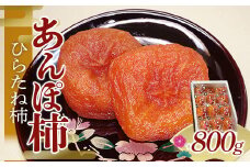 【五十沢ブランド】あんぽ柿 ひらたね柿12個入り800g箱詰め あんぽ柿 ドライフルーツ 干柿 干し柿 F20C-992