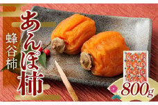 【五十沢ブランド】五十沢産 あんぽ柿 蜂谷柿12個入り800g箱詰め あんぽ柿 ドライフルーツ 干柿 干し柿 F20C-993
