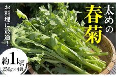 お料理に最適！太めの春菊 約1kg（250g×4袋）しゅんぎく 太い 料理用 福島県 F20C-995