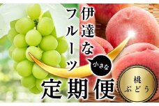 ＜2025年夏から開始の定期便＞伊達な小さなフル－ツ定期便（桃約1kg・ぶどう1房） 果物 フルーツ 桃 モモ 葡萄 ブドウ 福島県 伊達市 F21C-016