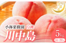 2025年出荷分 先行予約 福島県産 川中島白桃 5kg 2025年8月中旬～2025年8月下旬発送 先行予約 予約 伊達の桃 伊達市 桃 もも モモ 果物 くだもの フルーツ 名産品 国産 食品 F21C-009