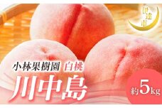 【2026年出荷分先行予約】福島県産 川中島白桃 約5kg (14～20玉) 小林果樹園 伊達の桃 桃 フルーツ 果物 もも モモ momo F21C-009