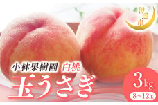 2025年出荷分 先行予約 福島県産 玉うさぎ 3kg 2025年9月上旬～2025年9月中旬発送 先行予約 予約 伊達の桃 伊達市 桃 もも モモ 果物 くだもの フルーツ 名産品 国産 食品 F21C-010