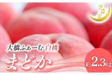 【2026年出荷分先行予約】福島県産 まどか 約2.3kg (7～9玉) 大橋ふぁーむ 贈り物 贈答 ギフト 伊達の桃 桃 フルーツ 果物 もも モモ momo F21C-014