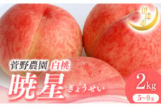 2025年出荷分 先行予約 福島県産 暁星 2kg 2025年7月上旬～2025年7月下旬発送 先行予約 予約 伊達の桃 伊達市 桃 贈り物 贈答 ギフト もも モモ 果物 くだもの フルーツ 国産 食品 F21C-013