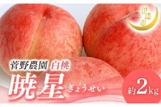 【2026年出荷分先行予約】福島県産 暁星 約2kg (5～9玉) 菅野農園FruitsProvider 贈り物 贈答 ギフト 伊達の桃 桃 フルーツ 果物 もも モモ momo F21C-013