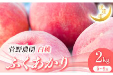 2025年出荷分 先行予約 福島県産 ふくあかり 2kg 2025年7月中旬～2025年8月下旬発送 先行予約 予約 伊達の桃 伊達市 桃 贈り物 贈答 ギフト もも モモ 果物 くだもの フルーツ 国産 食品 F21C-012