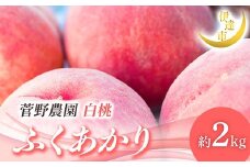 【2026年出荷分先行予約】福島県産 ふくあかり 約2kg (5～9玉) 菅野農園FruitsProvider 贈り物 贈答 ギフト 伊達の桃 桃 フルーツ 果物 もも モモ momo F21C-012