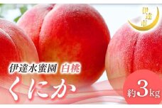 【2026年出荷分先行予約】福島県産 くにか 約3kg (9～16玉) 有限会社伊達水蜜園 白桃 大玉 伊達の桃 桃 フルーツ 果物 もも モモ momo F21C-015