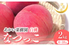 2025年出荷分 先行予約 福島県産 なつっこ 2kg 2025年8月上旬～2025年8月中旬発送 先行予約 予約 伊達の桃 伊達市 桃 贈り物 贈答 ギフト もも モモ 果物 くだもの フルーツ 国産 食品 F21C-004