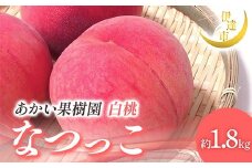 【2026年出荷分先行予約】福島県産 なつっこ 約1.8kg (6～10玉) あかい果樹園 贈り物 贈答 ギフト 伊達の桃 桃 フルーツ 果物 もも モモ momo F21C-004