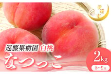 2025年出荷分 先行予約 福島県産 なつっこ 2kg 2025年8月上旬～2025年8月中旬発送 先行予約 予約 伊達の桃 伊達市 桃 贈り物 贈答 ギフト もも モモ 果物 くだもの フルーツ 国産 食品 F21C-006