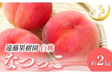 【2026年出荷分先行予約】福島県産 なつっこ 約2kg (5～9玉) 遠藤果樹園 贈り物 贈答 ギフト 伊達の桃 桃 フルーツ 果物 もも モモ momo F21C-006