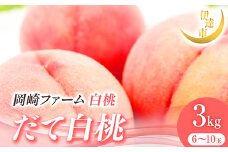 2025年出荷分 先行予約 福島県産 だて白桃 3kg 2025年8月下旬～2025年9月中旬発送 先行予約 予約 伊達の桃 伊達市 桃 贈り物 贈答 ギフト もも モモ 果物 くだもの フルーツ 国産 食品 F21C-007