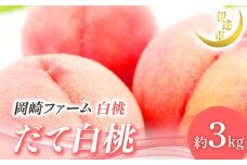 【2026年出荷分先行予約】福島県産 だて白桃 約3kg (6～10玉) 岡崎ファーム 伊達の桃 桃 フルーツ 果物 もも モモ momo F21C-007